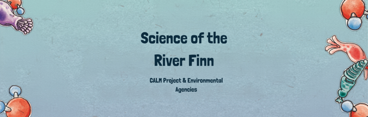 Science of the River Finn