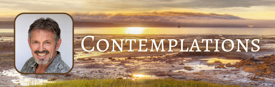 Short Film Experience | Contemplations by Gareth Rockliffe