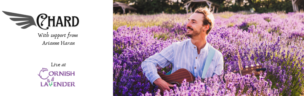 Chard musician sitting playing guitar among the lavender, bathed in sunlight