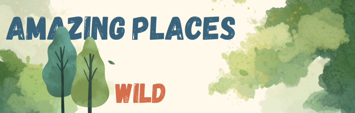 🌍 Summer family fun: Wild - illustration with Jack for ages 7 - 14