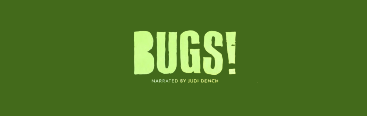 BUGS! A Rainforest Adventure