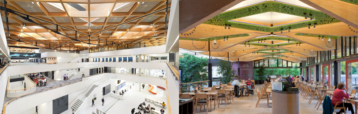 Roddy Langmuir SALA Lecture