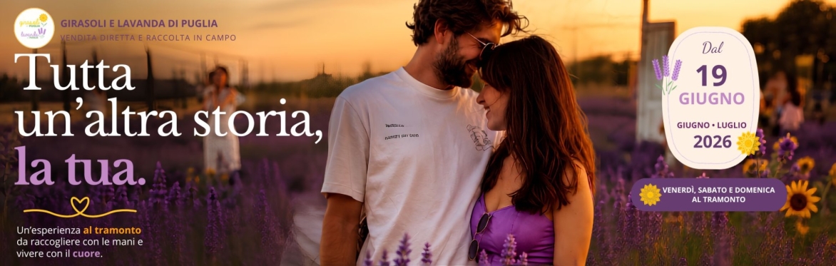 Girasoli da bouquet (colorati) 🌻 e Lavanda🪻di Puglia 26'- Biglietti con date, orari e aperitivi 🧺🍷 al tramonto 🌅