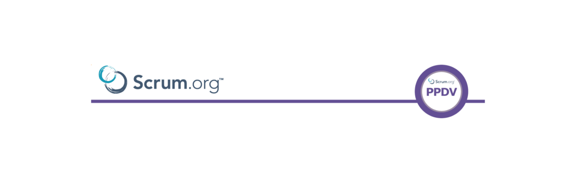 Professional Product Discovery and Validation Schulung mit PPDV-Zertifikat