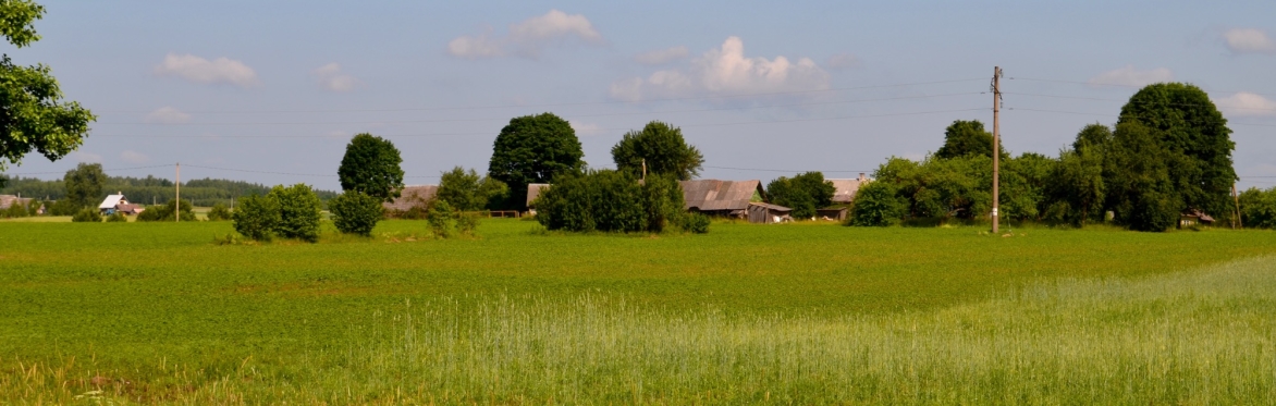Pievos Žalios — Spindulio tautinių šokių koncertas