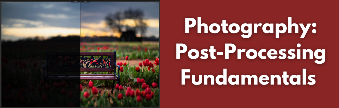 Post-Processing Fundamentals - Photography
