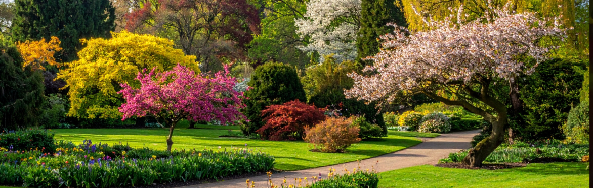 Garden & Grow Burton Latimer - Trees Glorious Trees!