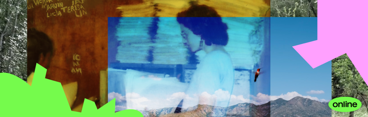 Online workshop “Practices of Regard: Images, Memories, Words” with Darcy Alexandra