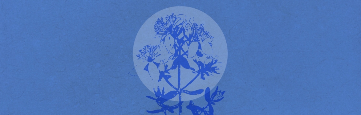 Summer Solstice Celebration: Meditation, ancient wisdom, self-reflection and Nature connection