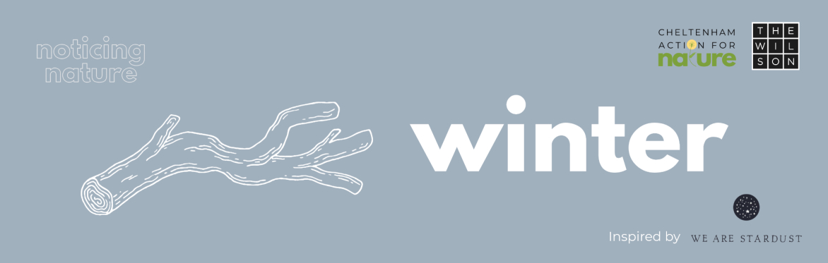 Noticing Nature at The Wilson – Winter Sessions