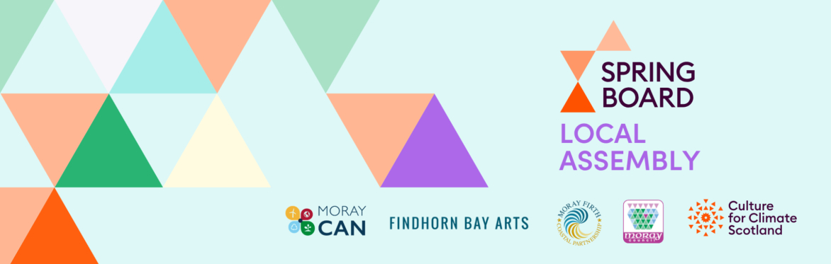 SPRINGBOARD local assembly graphic with colourful triangles and organisation logos