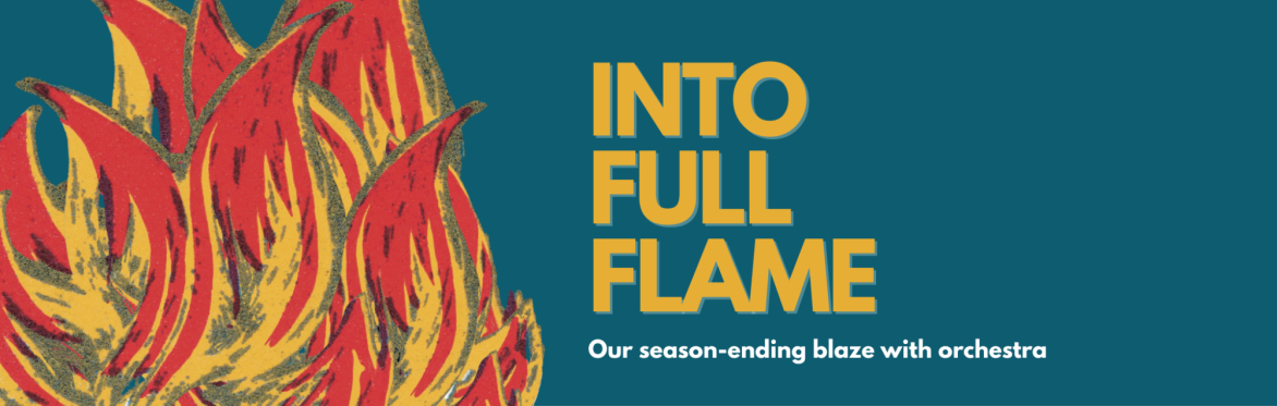Into Full Flame - burning fire