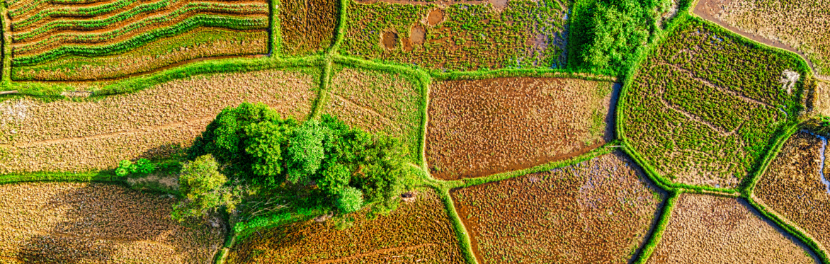 Sowing seeds of change: The future of sustainable agriculture