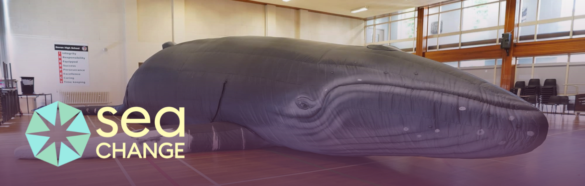 Inflatable whale model indoors on a gym floor, showcasing marine education. "Sea Change" logo in the foreground