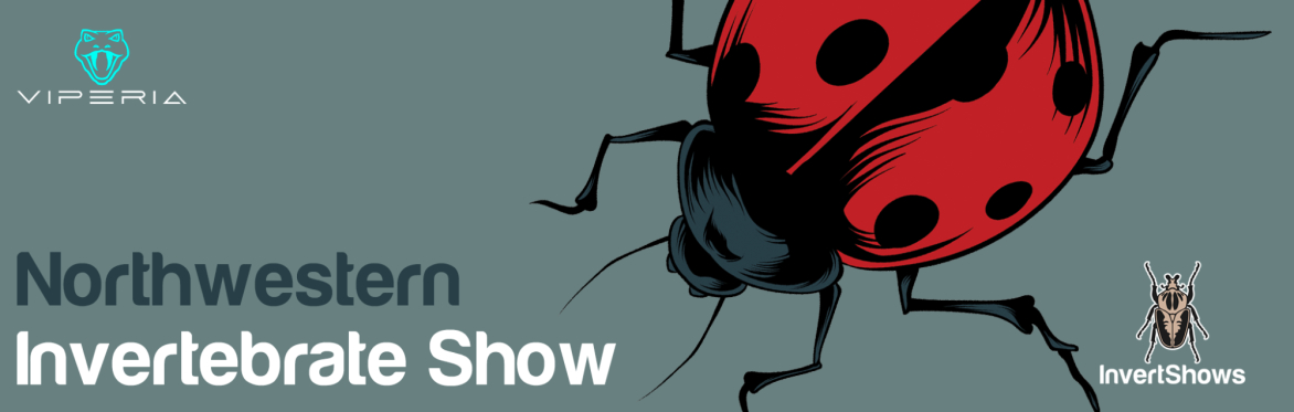 North Western Invertebrate Show 2026