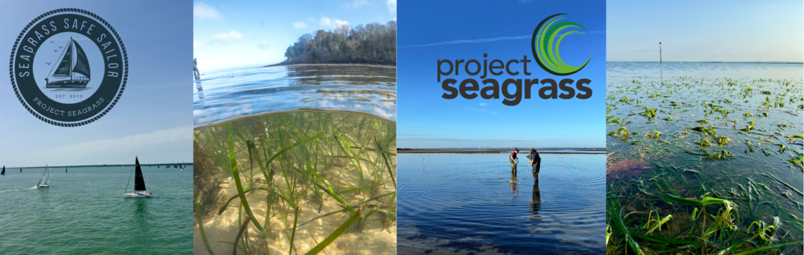 Protecting Seagrass in Priory Bay - Next Steps Workshop