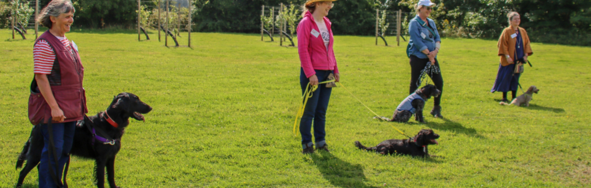 Summer Truffle Discovery Day Cover Image