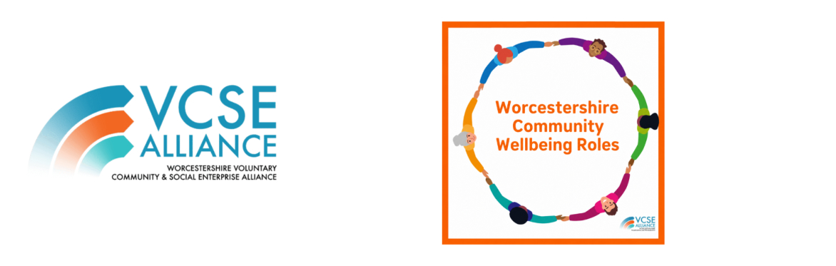 Community Wellbeing Roles Peer Support Session