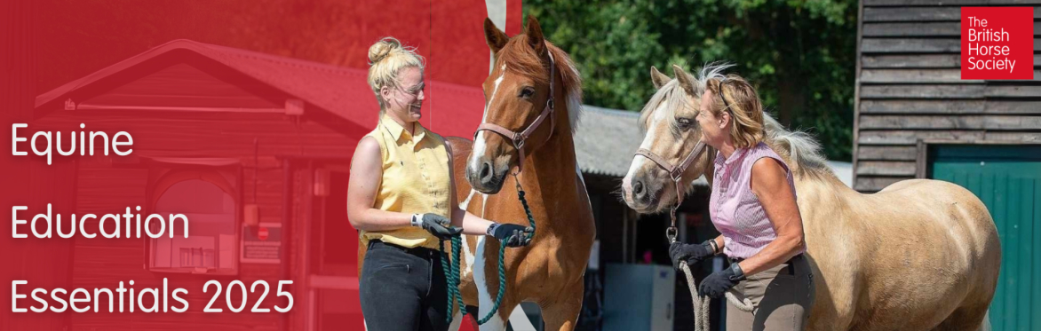 2 ladies wearing gloves holding a chesnut and palomino horse in headcollars smiling and chatting together.