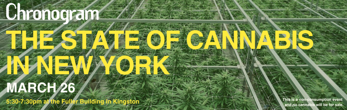 Chronogram Conversations: The State of Cannabis in New York