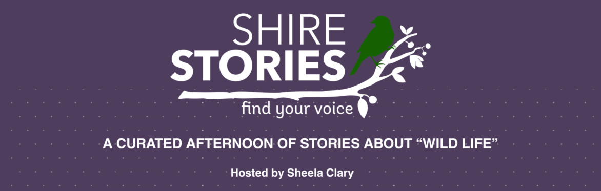 Shire Stories presents "Wild Life"