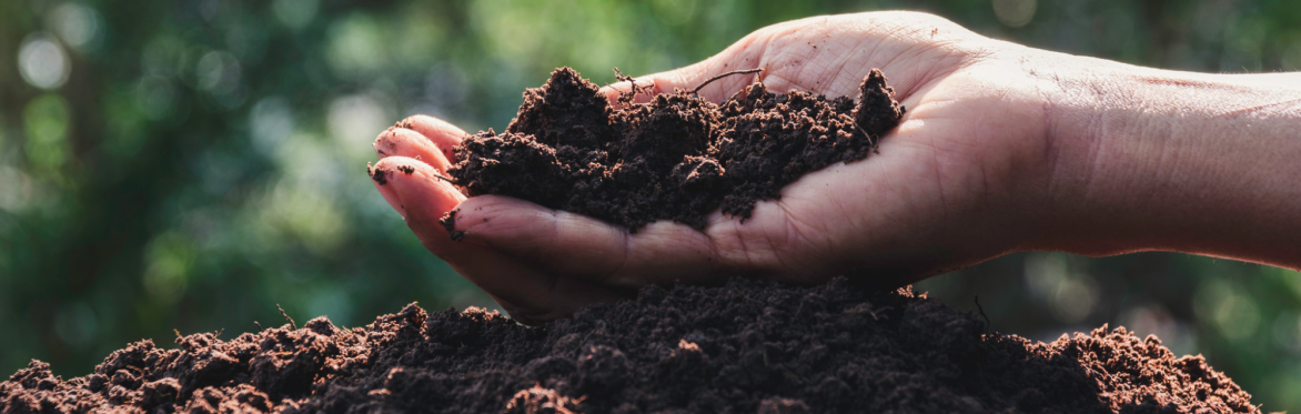 The Ten Principles of Good Soils and Stones Management: A Cross-sector Framework for Sustainable Resource Use