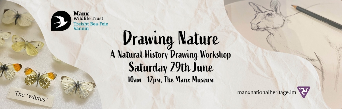 Drawing Nature: A Natural History Drawing Workshop
