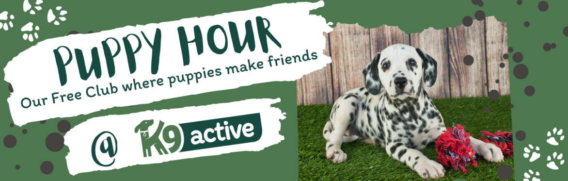 Puppy Hour @ K9 Active
