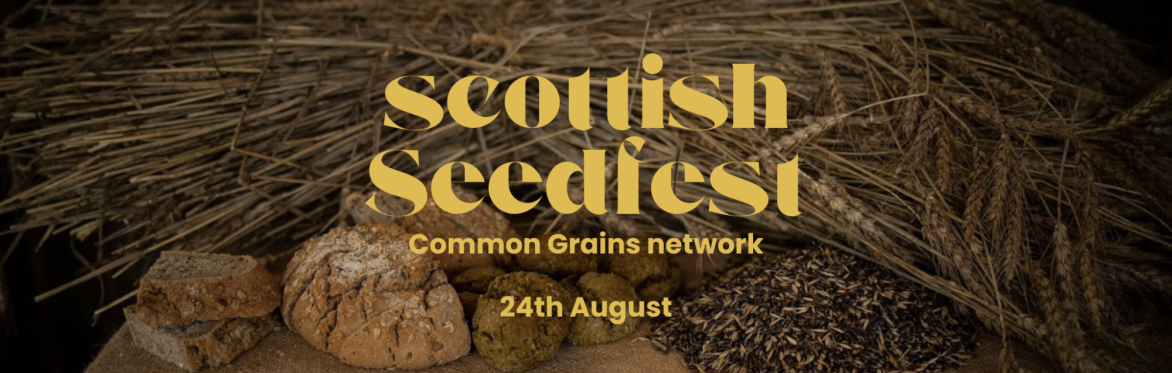 Common Grains Seedfest: Summer 2026