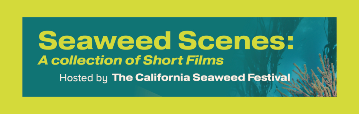 Seaweed Scenes - Short Films & Panel in Carmel