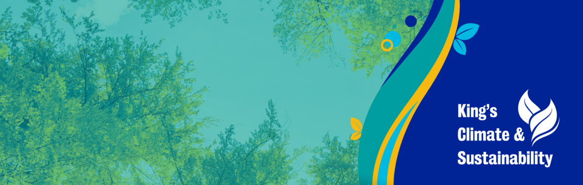 Carbon Literacy Training (5 & 12 November)