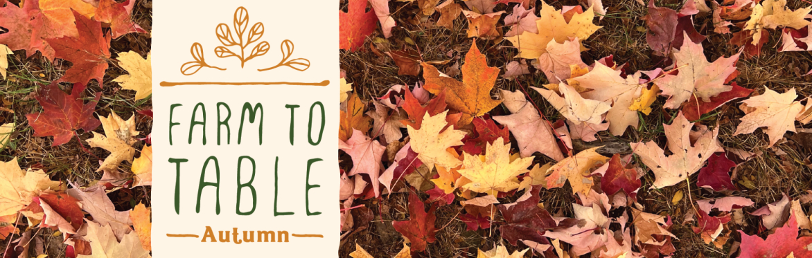 Farm To Table: Autumn Dinner - WAITLIST ONLY