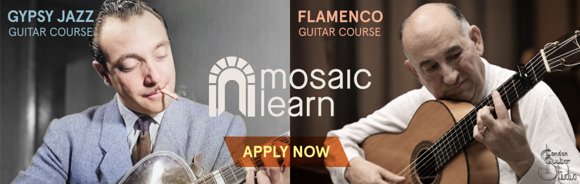 Mosaic Learn