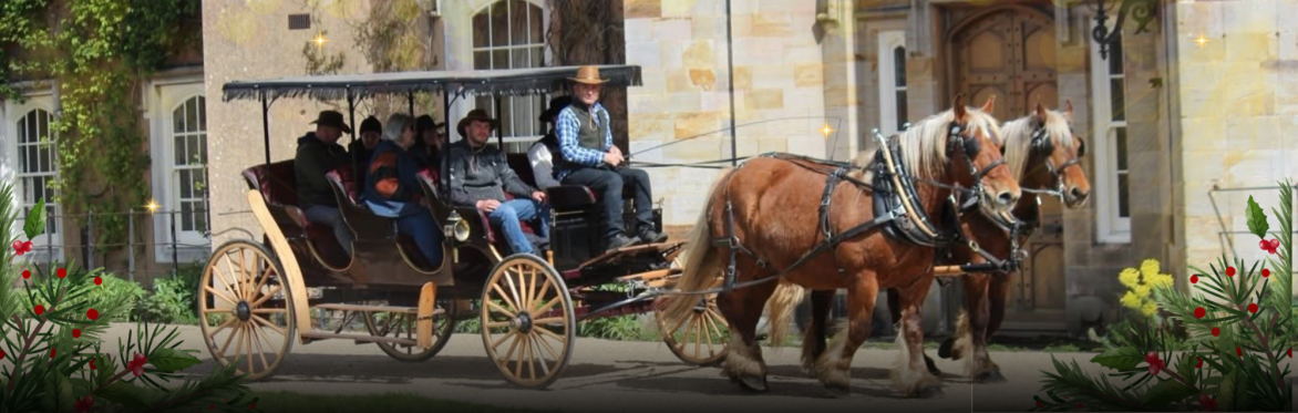 Two horses pulling a carriage with people inside