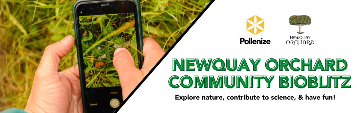 NEWQUAY ORCHARD BIOBLITZ