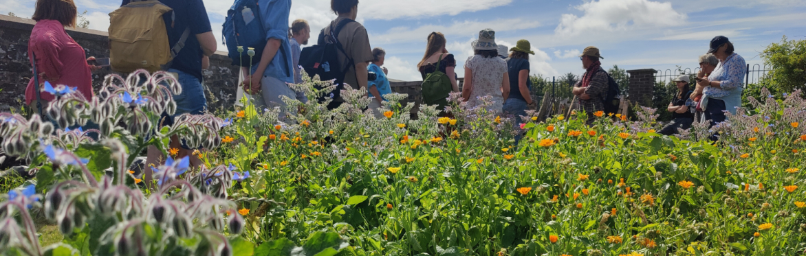 Wild About Devon visit... Exminster Greenspaces