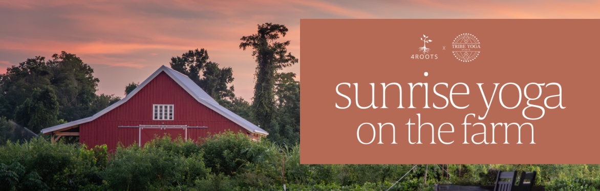 Sunrise Yoga on the Farm: Beginner Friendly Yoga