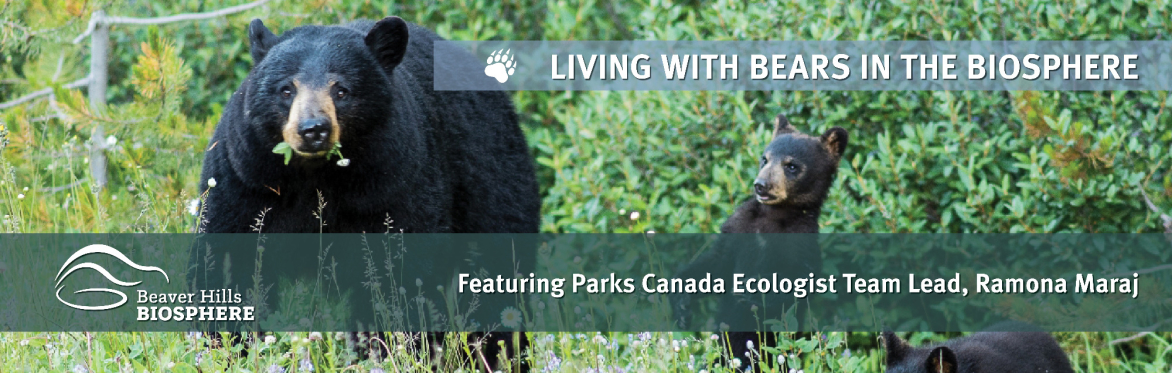 Attend the Planting Trees and Shrubs workshop hosted by Beaver Hills Biosphere on October 3, 2024