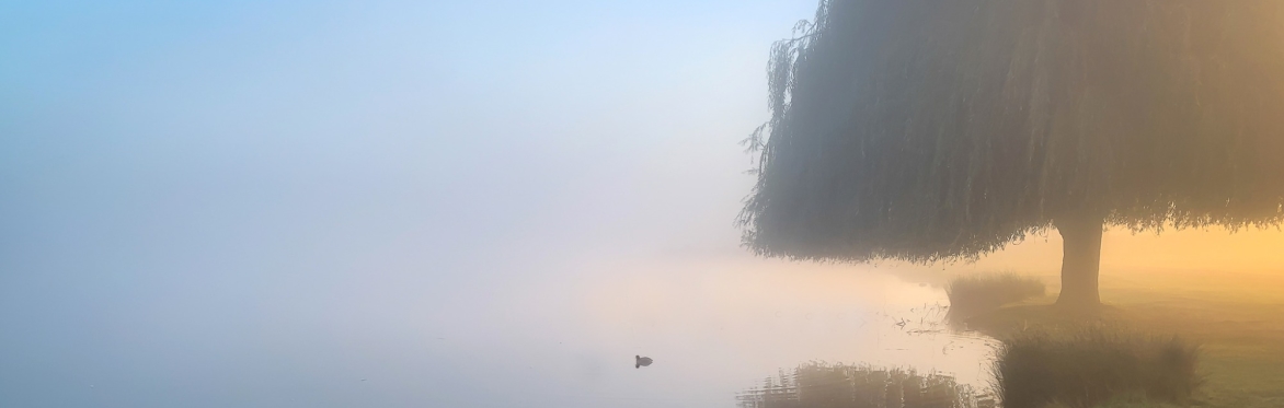 Smartphone Photography Taster Workshop