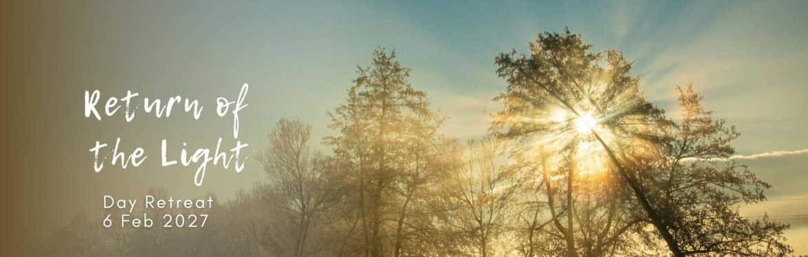 sunlight through trees