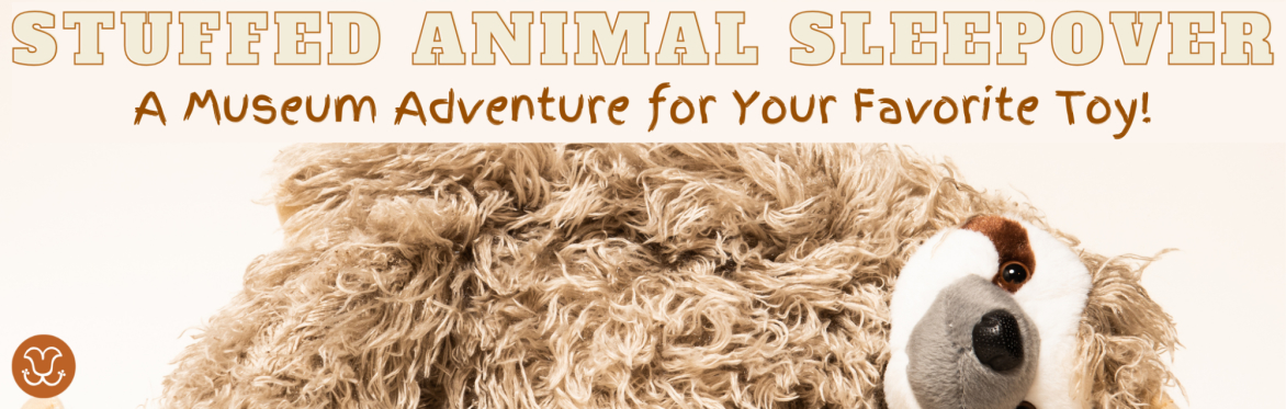 Stuffed Animal Sleepover: A Museum Adventure for Your Favorite Toy!