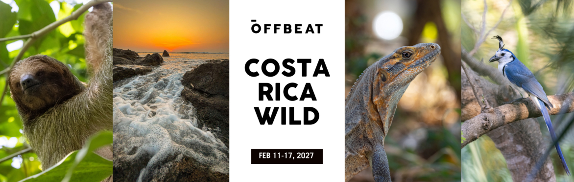 Costa Rica Wild - 2