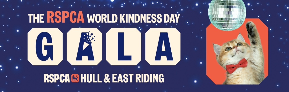 A kitten pretending to play with an event glitter ball and advertising The RSPCA World Kindness Day Gala brought to you by RSPCA Hull & East Riding