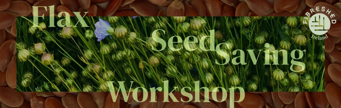 Flax seed saving hands-on workshop