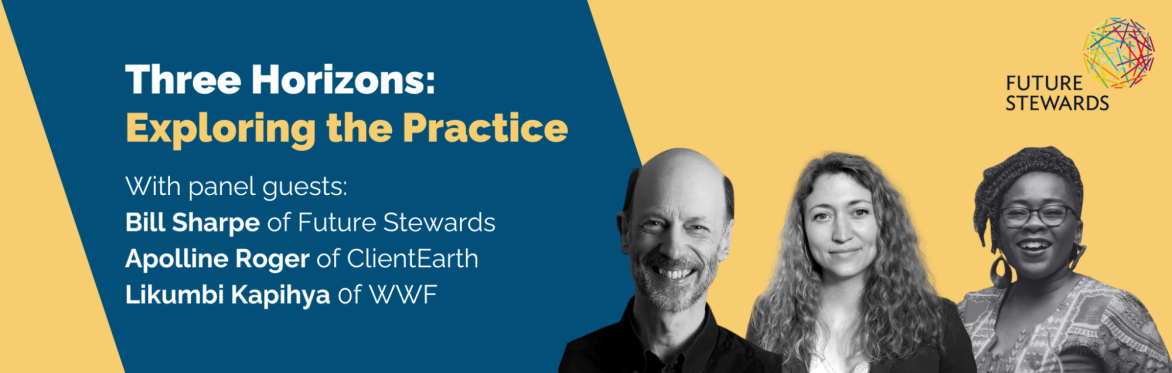 Three Horizons: Exploring the Practice