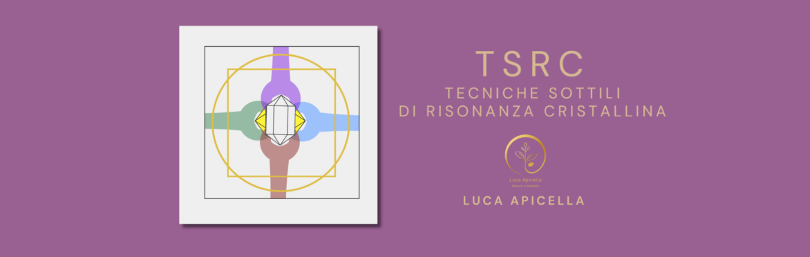 SEminario di cristalloterapia di primo livello 2024-25