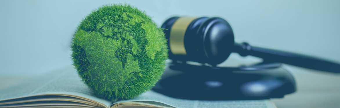 Watch on-demand: Exploring Key Environmental Policy Drivers & Priorities
