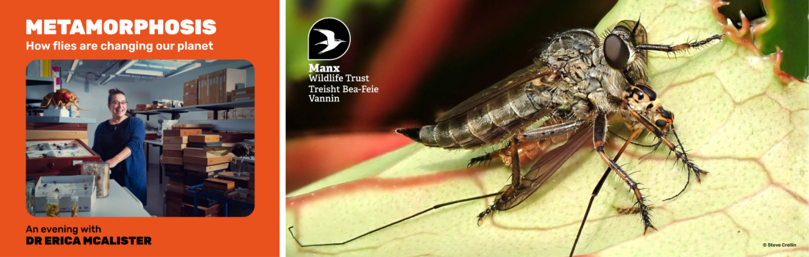 METAMORPHOSIS - How flies are changing our planet - An evening with DR ERICA MCALISTER