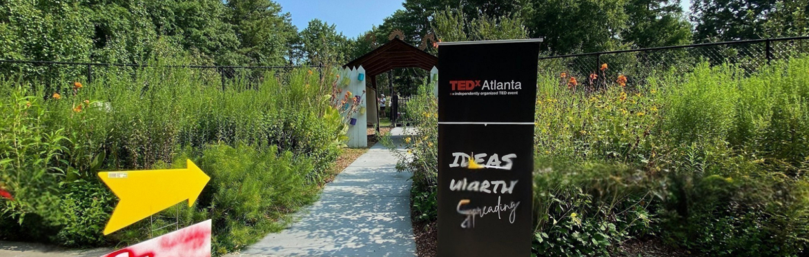 Bees, Butterflies, Blooms & Buzzy Vibes - TEDxAtlanta