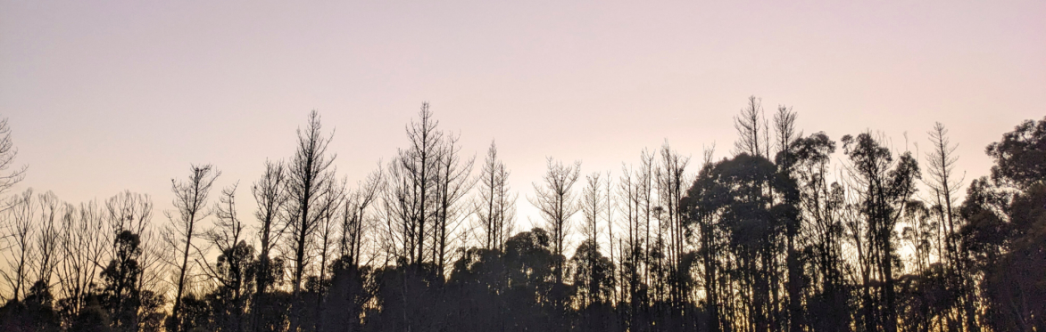 Nothing Is Missing: 3-night Silent Meditation Retreat with Kynan Tan